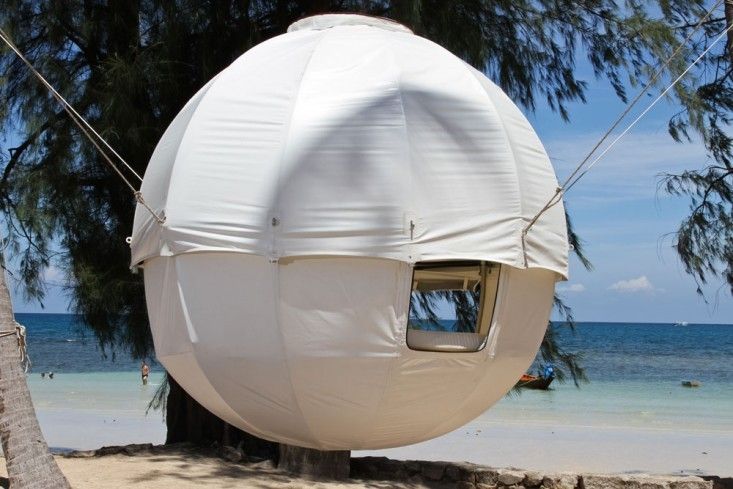 cocoon-tree-beach.jpg