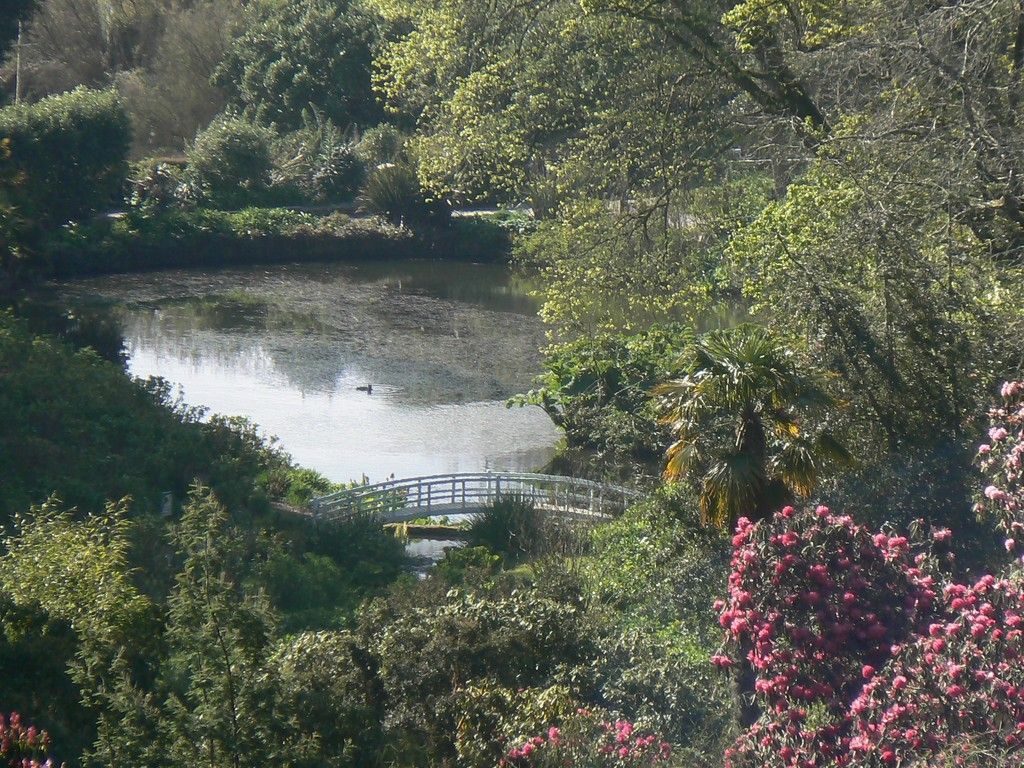Trebah Garden is an exciting day out full of magical adventure! And here is The Peachicks' Must-See Guide to Trebah Garden & Eating in Trebah Kitchen Allergy Menu