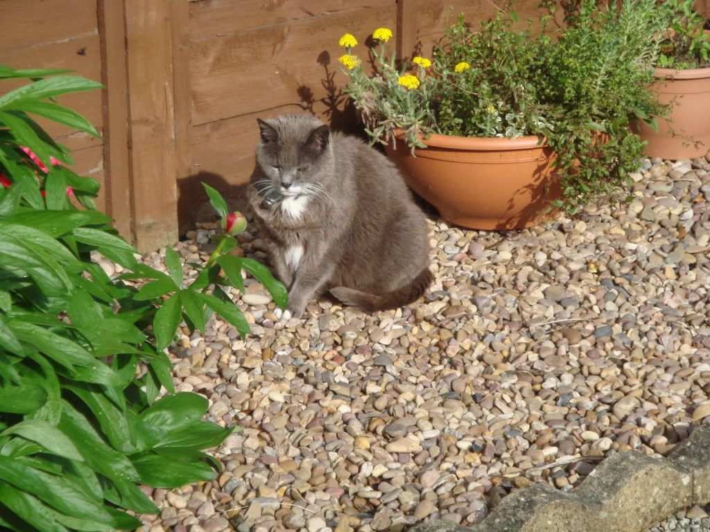 DSC00941.jpg