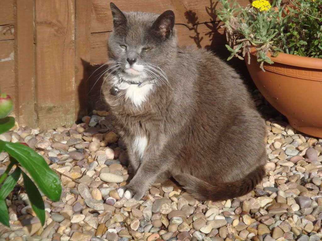 DSC00947.jpg