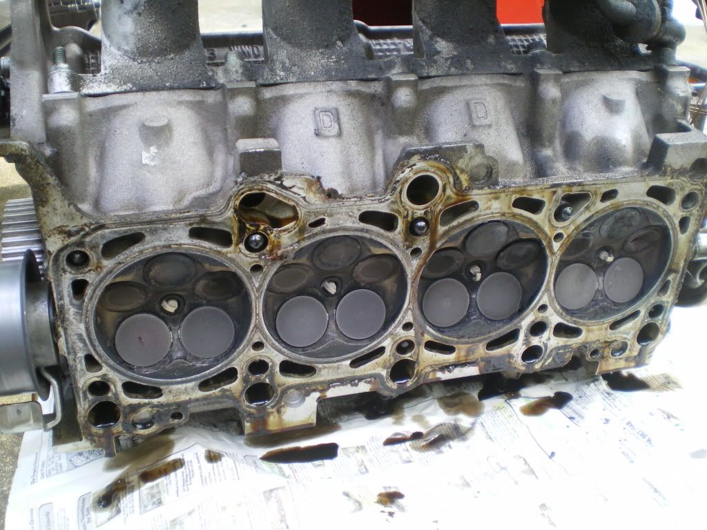 Bent valves? Pics inside. Help meh! VW Vortex Volkswagen Forum