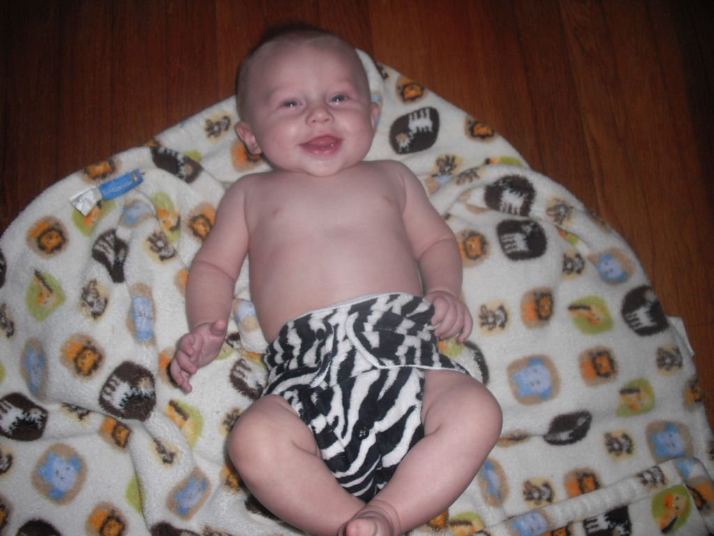 Blueberry Baby wearing Blueberry diaper, 4 months