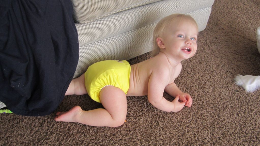 Rumparooz G2 Rumparooz G2 diaper, 15 month old baby