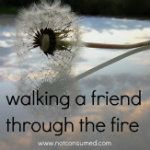 walkingafriendthroughthefire