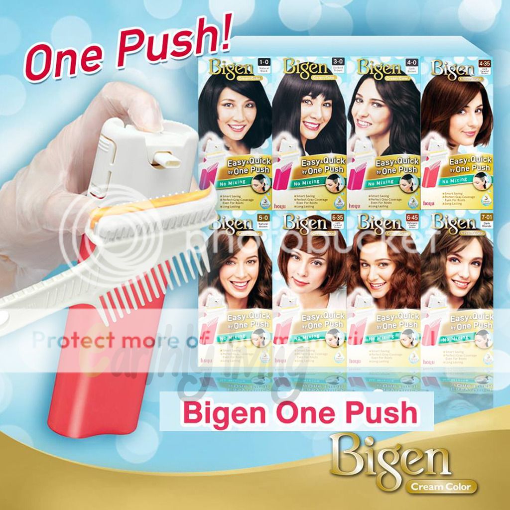 Bigen One Push Hair Color Chart