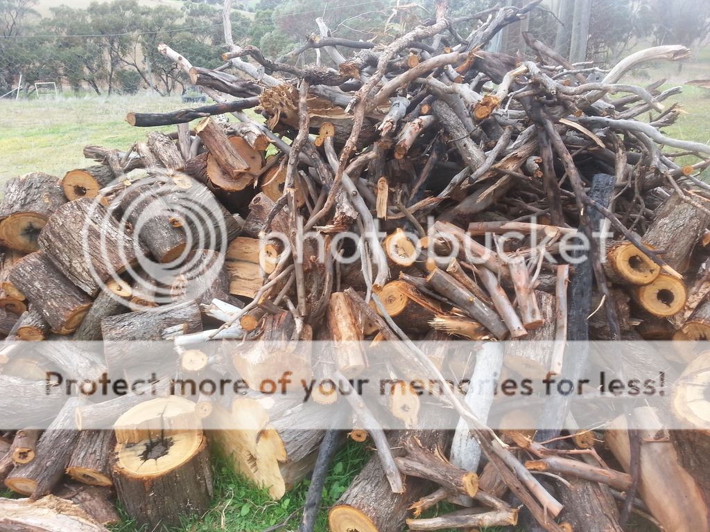 Wood photo 20170704_134107_zpsarfctihr.jpg