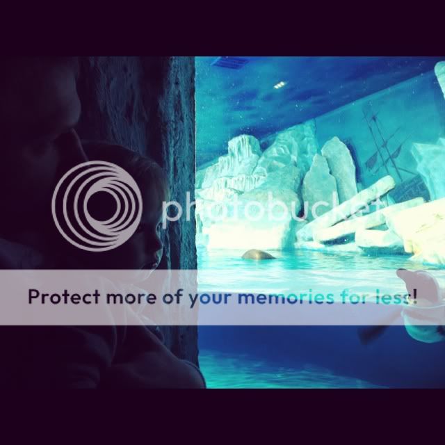 Photobucket Pictures, Images and Photos