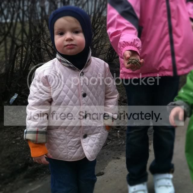 Photobucket Pictures, Images and Photos