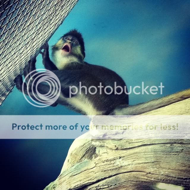 Photobucket Pictures, Images and Photos