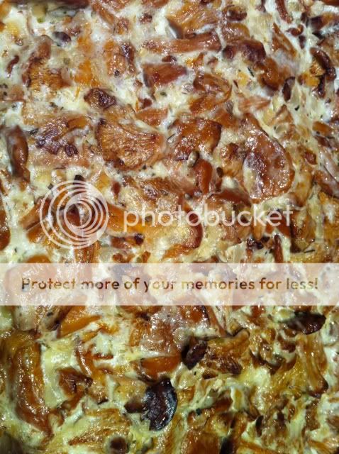 Photobucket Pictures, Images and Photos