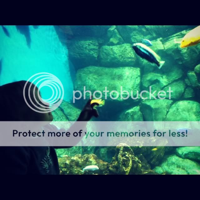 Photobucket Pictures, Images and Photos
