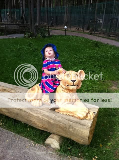 Photobucket Pictures, Images and Photos