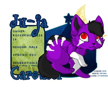 User Image