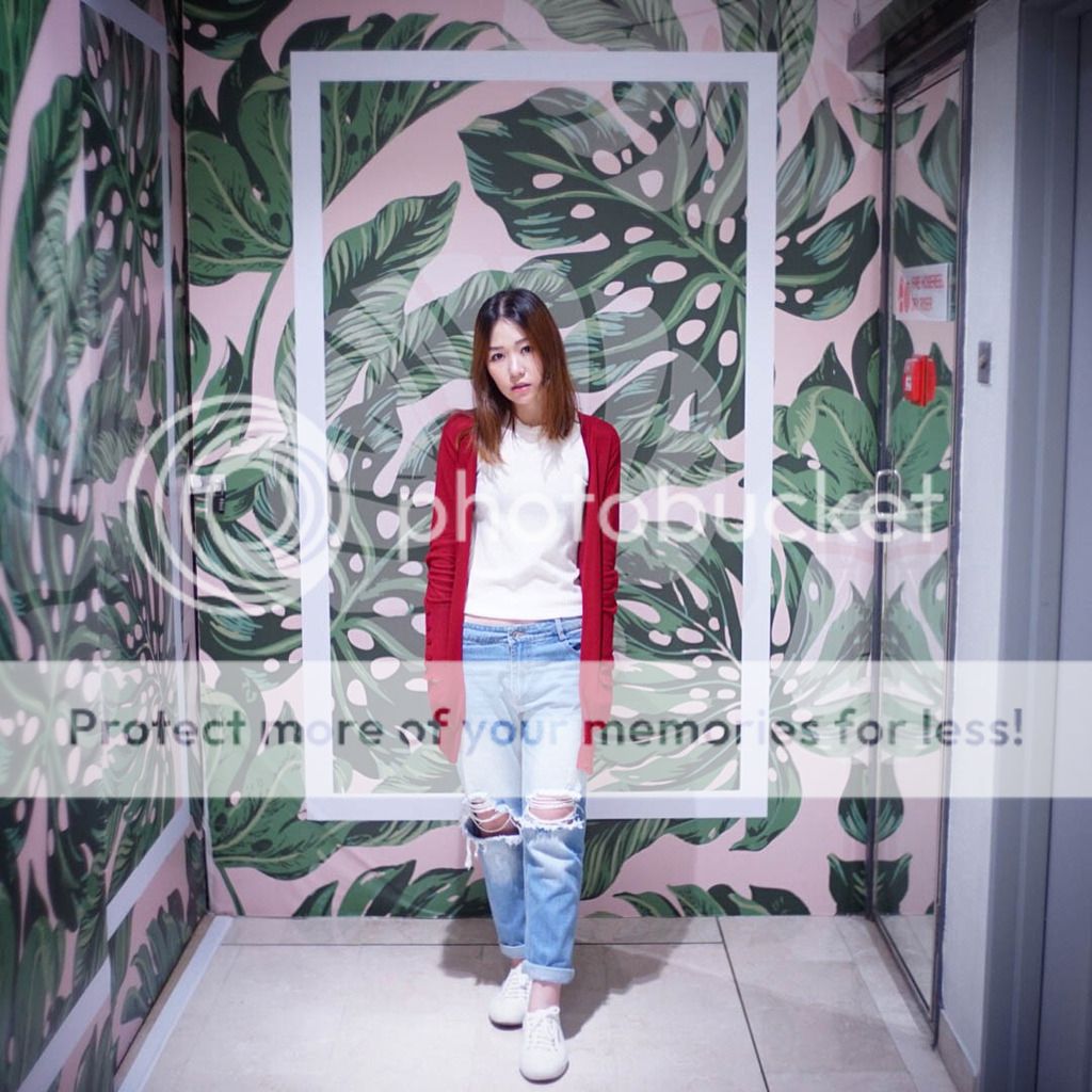  photo IMG_4161-2_zpspkizgaof.jpg